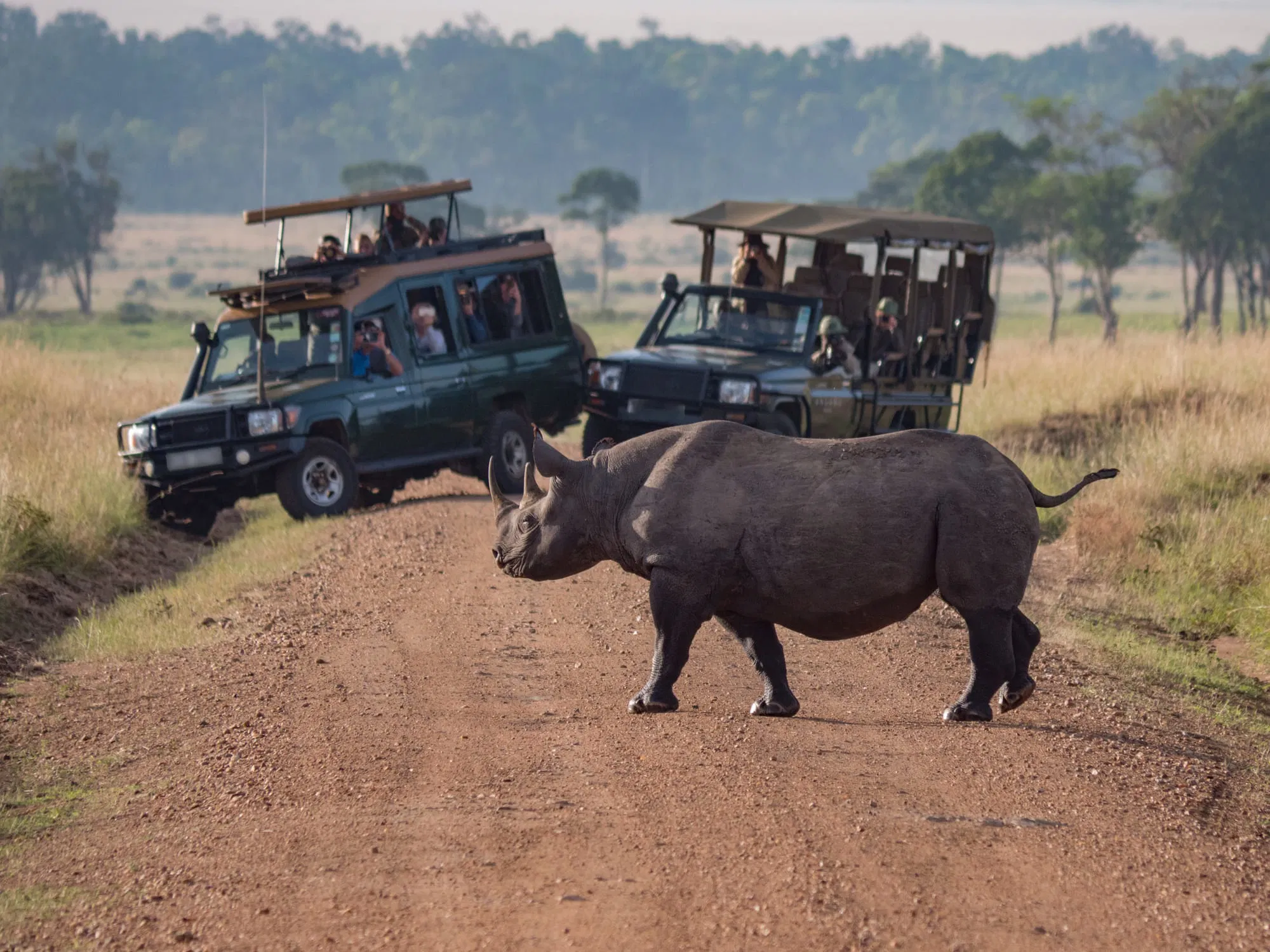 4 Days / 3 Nights Tanzania Affordable Camping Safari