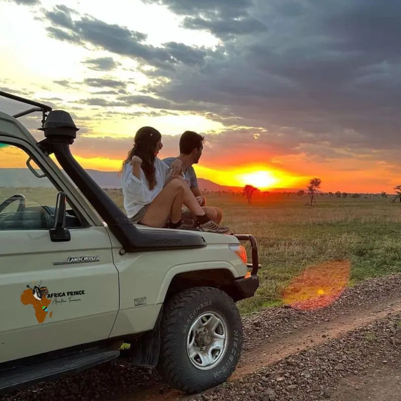 Honeymoon Safari