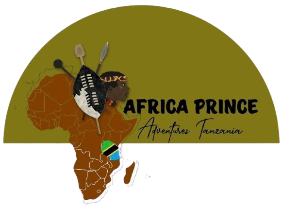 Africa Prince Adventures Tanzania