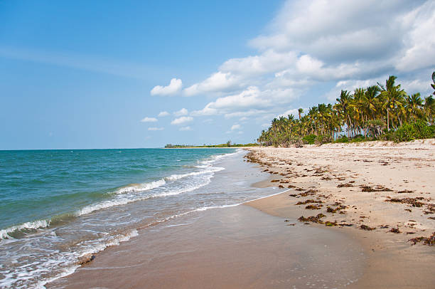 Saadani National Park