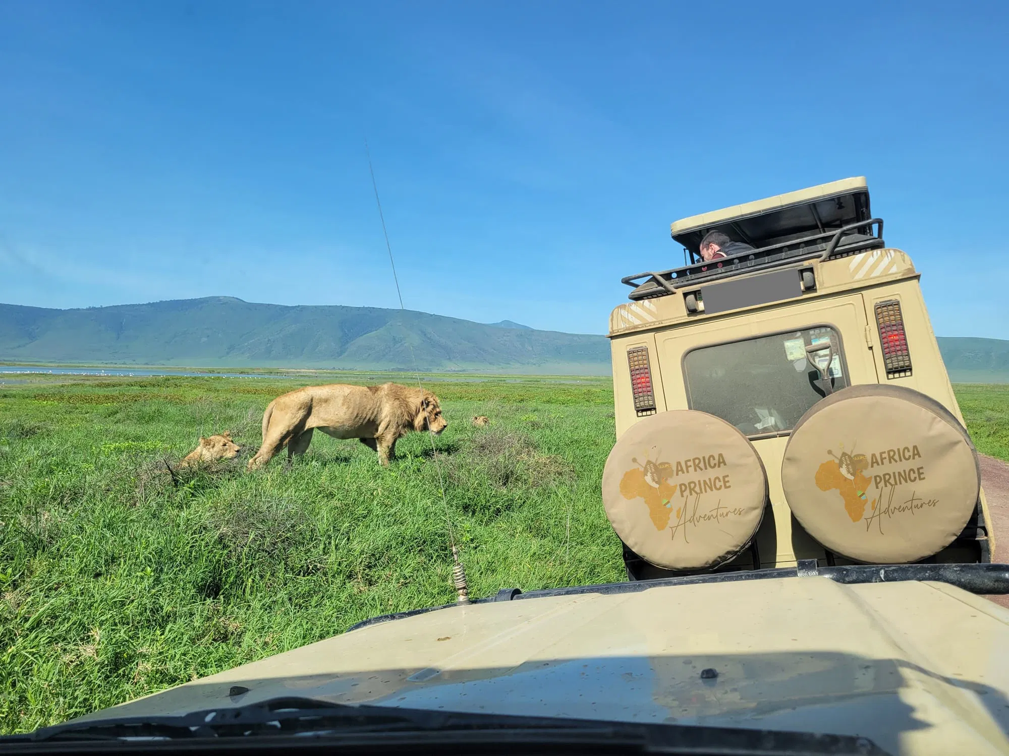 3 Days / 2 Night Classic Safari
