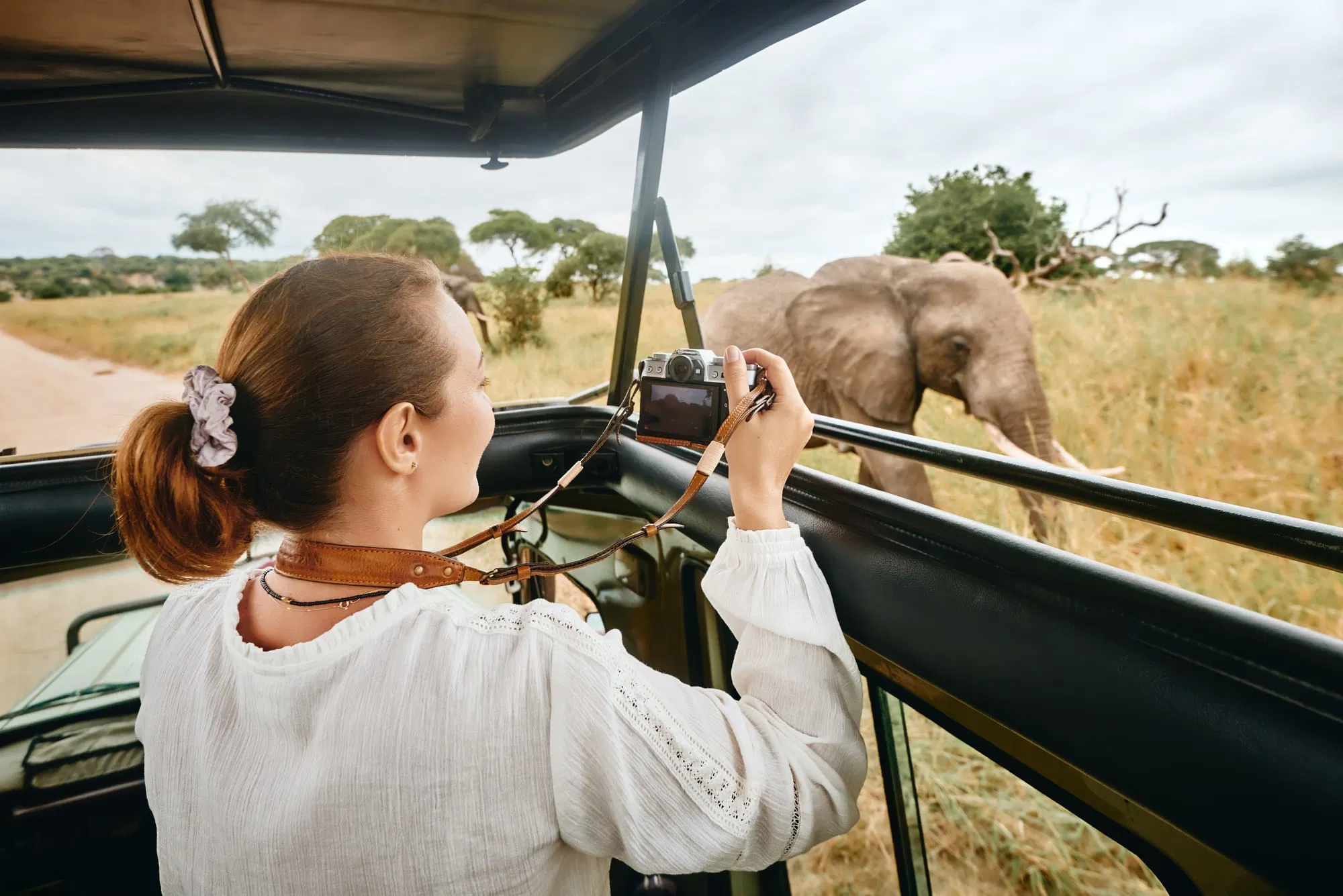 6 Days / 5 Night Tanzania Safari, Culture, Materuni Waterfalls Coffee Tour