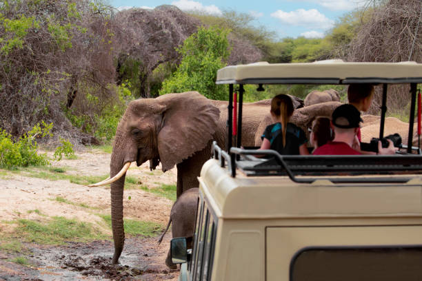 Tarangire National Park